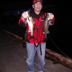 電気ウキで狙う夜釣りのフッコ